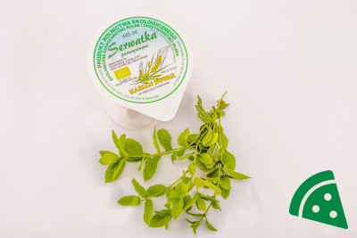 Prezentacja Serwatka